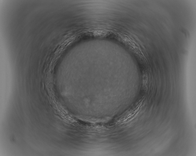 X0000111591249200907231207