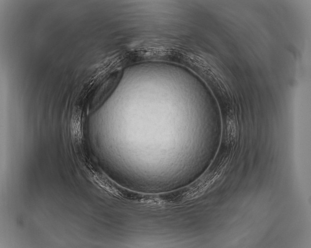 X0000111591250200907231207