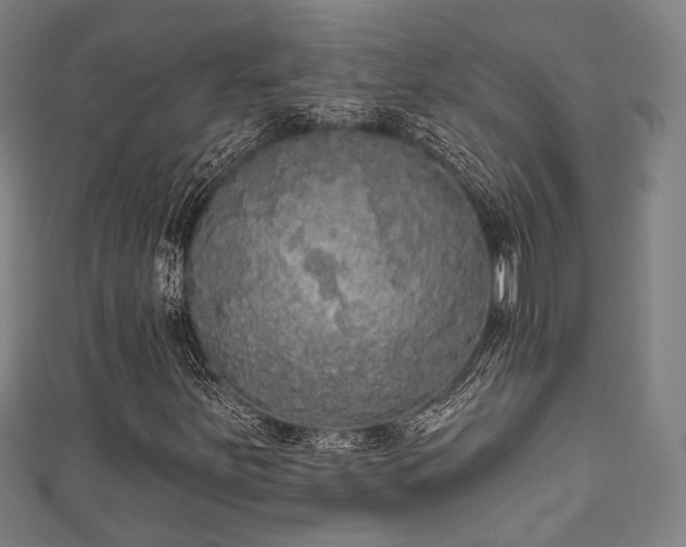 X0000111591251200907231207