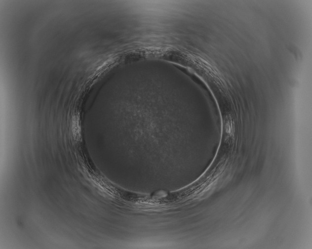 X0000111591252200907231207