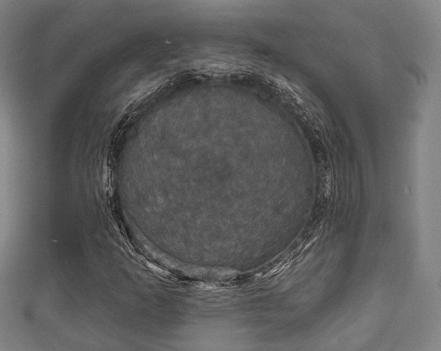 X0000111591253200907231207