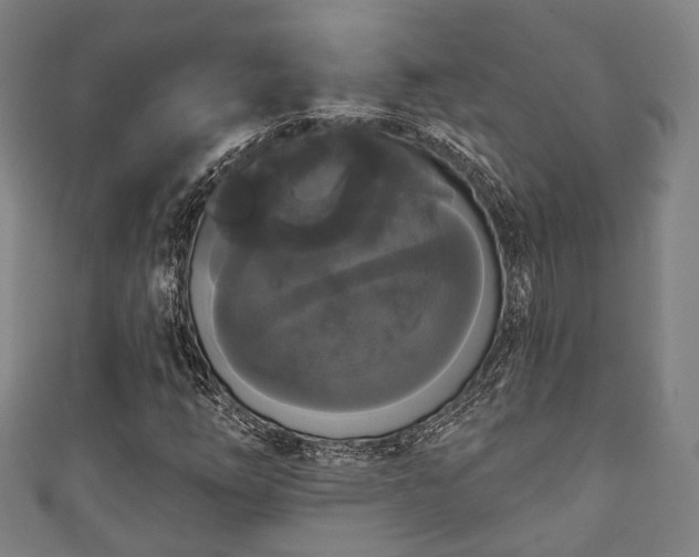 X0000111591254200907231207