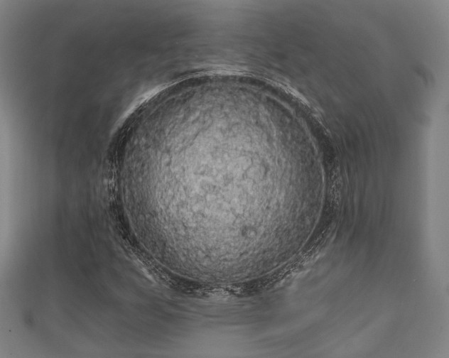 X0000111591255200907231207