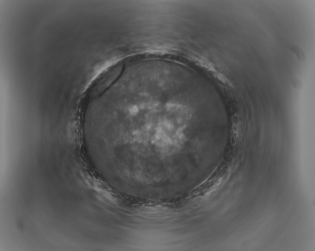 X0000111591256200907231207