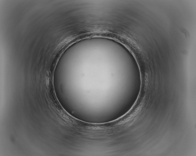 X0000111591257200907231207