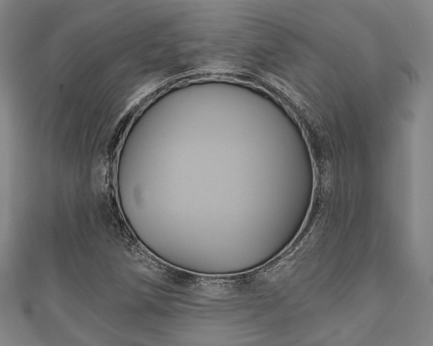 X0000111591258200907231207