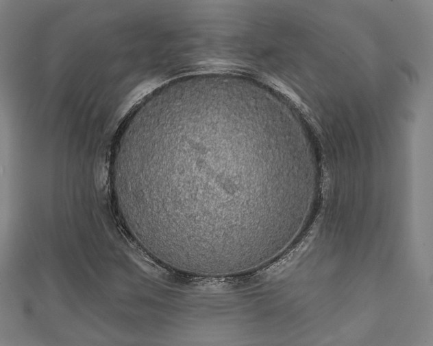 X0000111591259200907231207