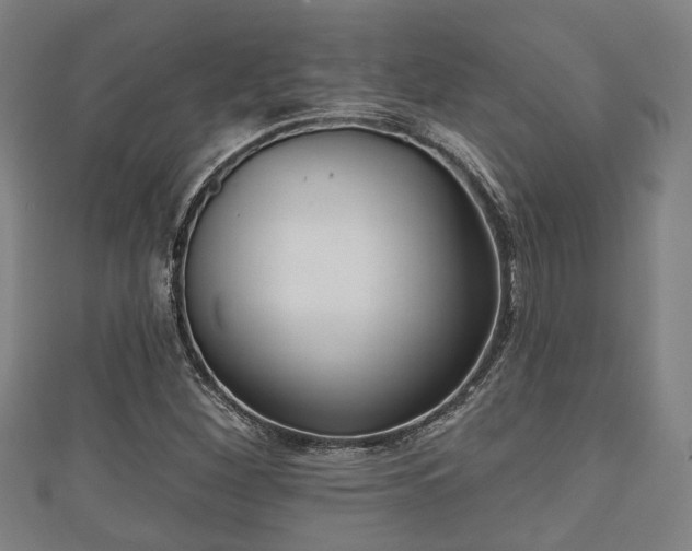 X0000111591260200907231207