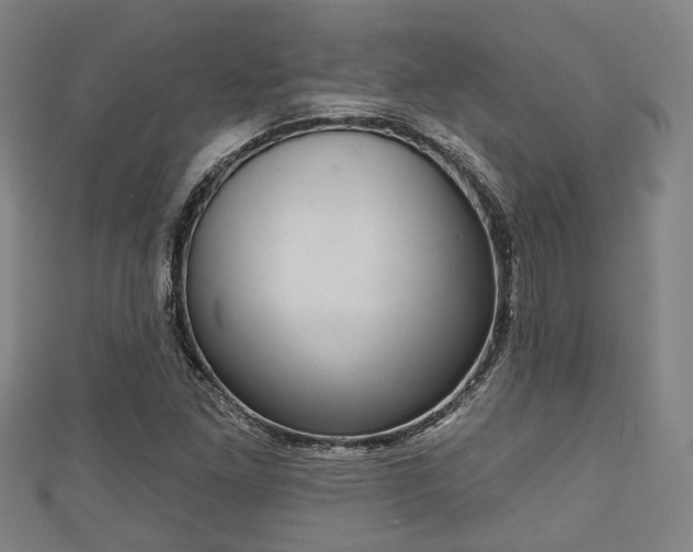 X0000111591261200907231207