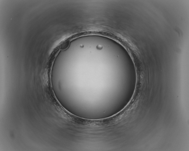 X0000111591262200907231207