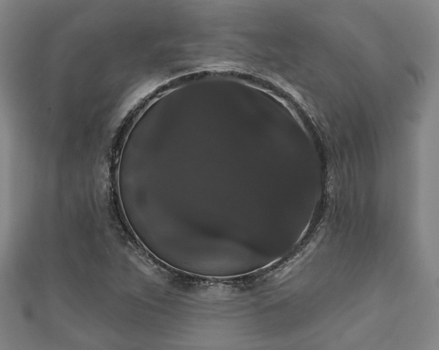 X0000111591263200907231207