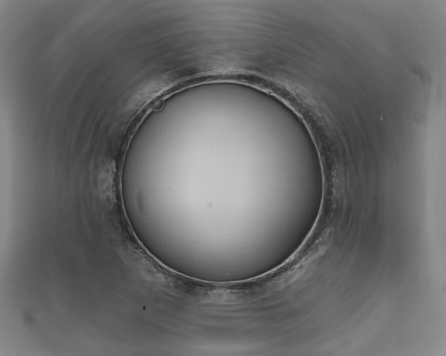 X0000111591265200907231207