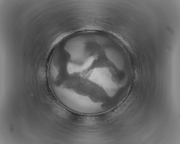 X0000111591266200907231207