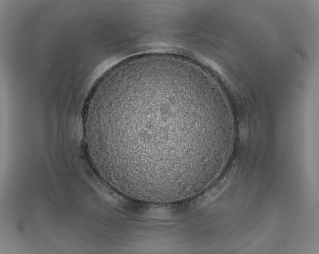 X0000111591267200907231207