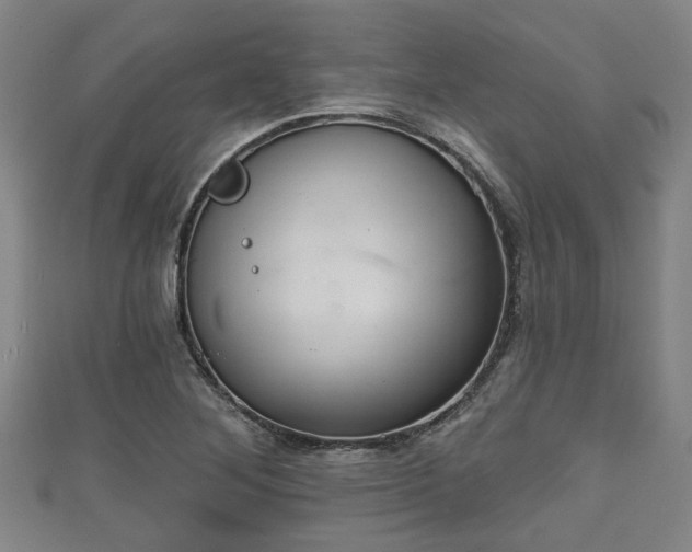 X0000111591268200907231207