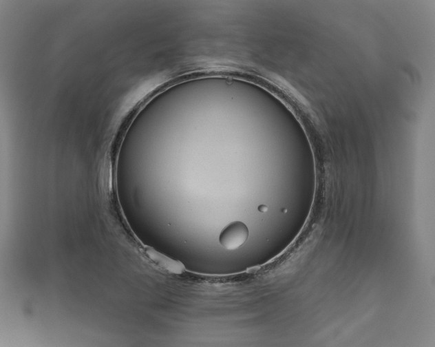 X0000111591269200907231207