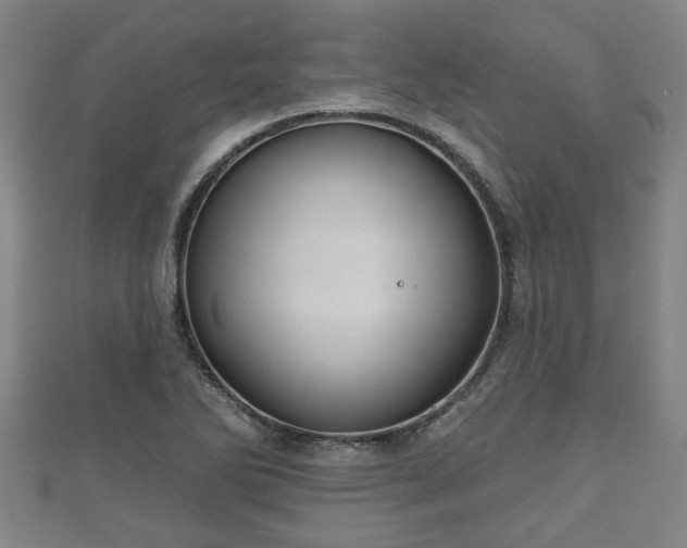 X0000111591270200907231207