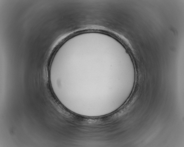 X0000111591271200907231207