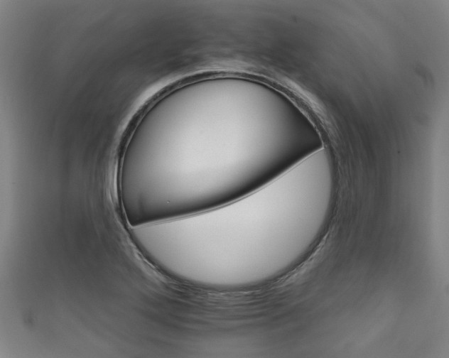 X0000111591272200907231207