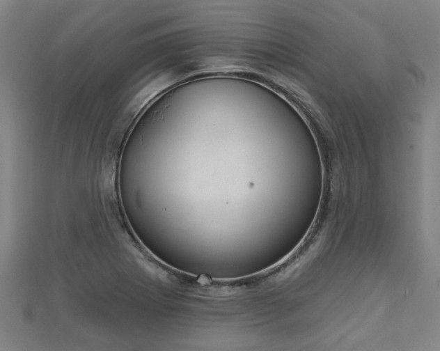 X0000111591273200907231207