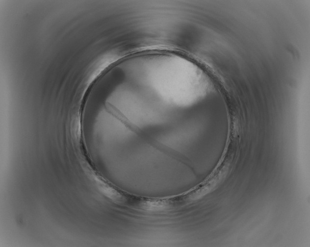 X0000111591274200907231207