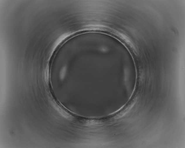 X0000111591275200907231207