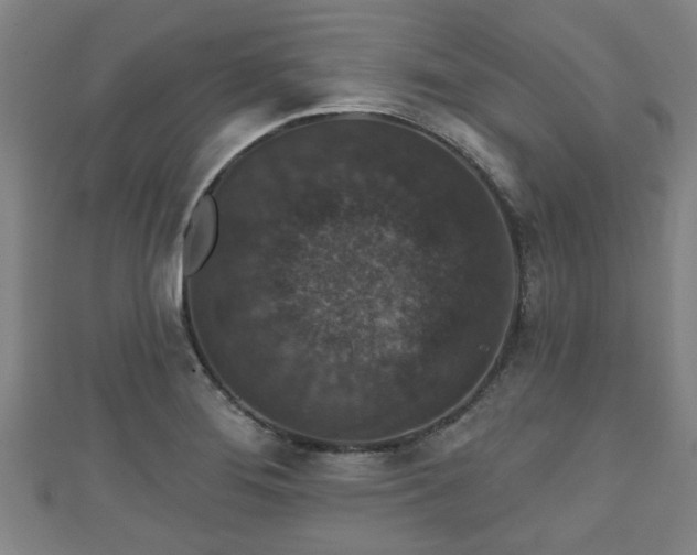 X0000111591276200907231207