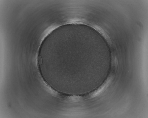 X0000111591277200907231207