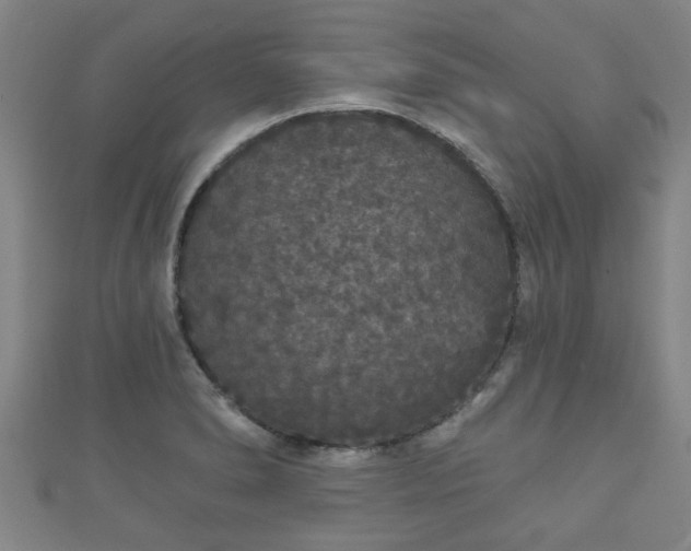 X0000111591278200907231207