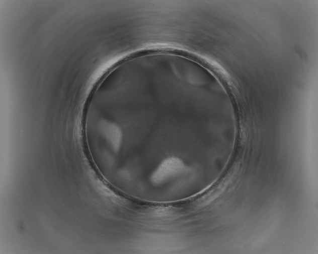 X0000111591279200907231207