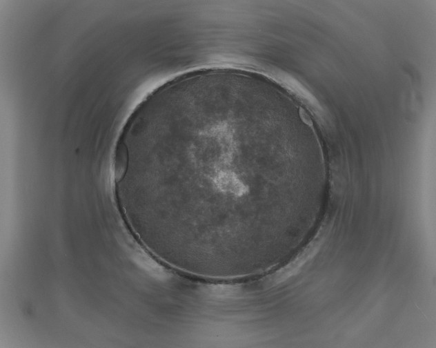 X0000111591280200907231207