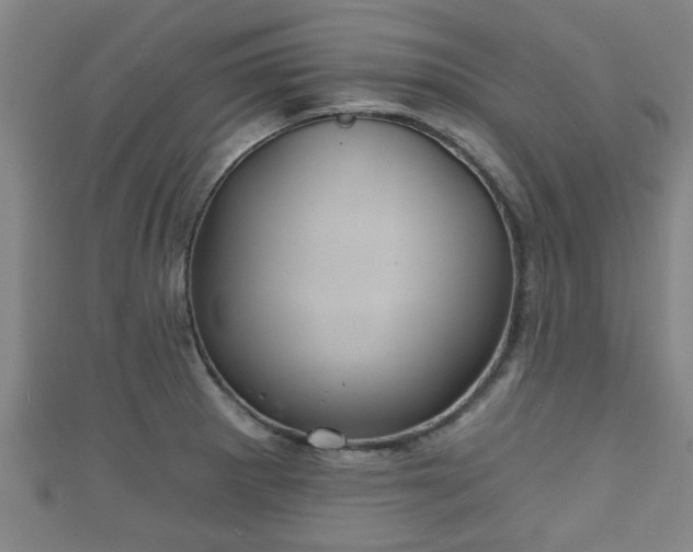 X0000111591281200907231207