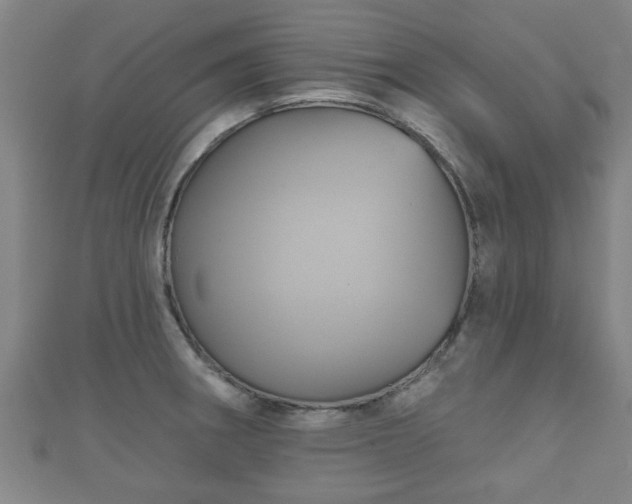 X0000111591282200907231207