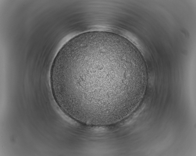 X0000111591283200907231207