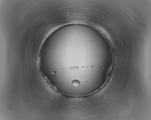 X0000111591284200907231207