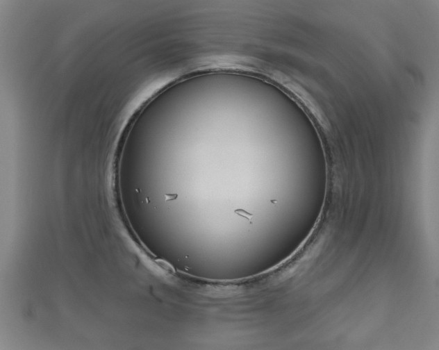 X0000111591285200907231207