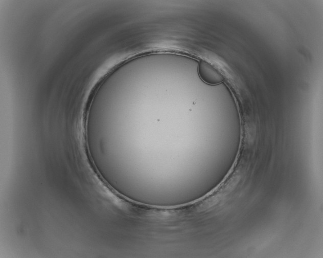 X0000111591286200907231207