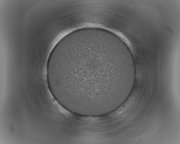 X0000111591287200907231207