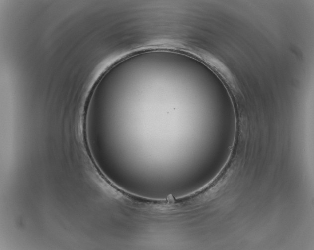 X0000111591288200907231207