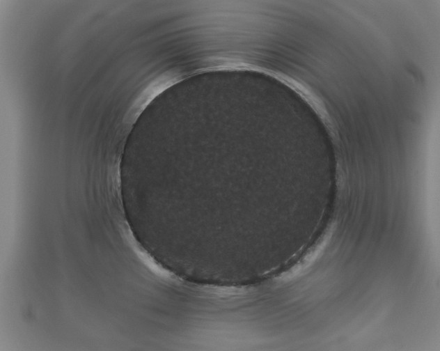 X0000111591289200907231207