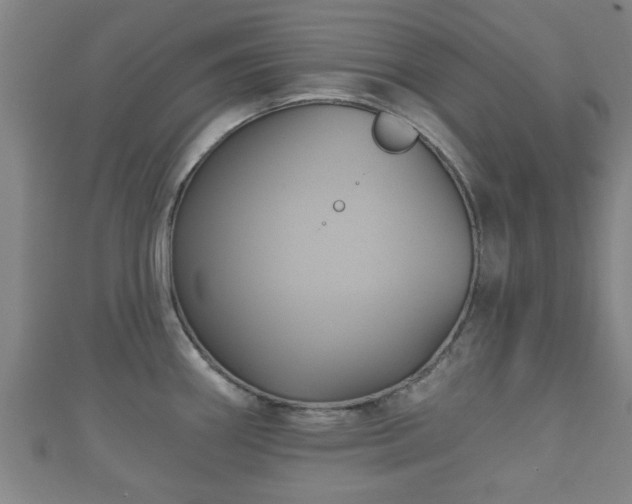 X0000111591290200907231207