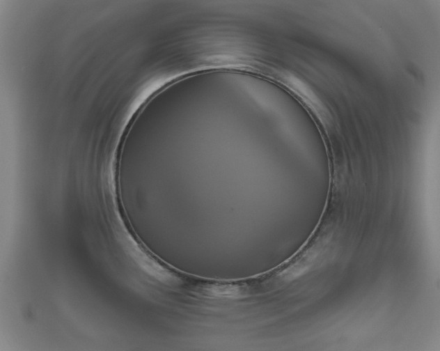 X0000111591291200907231207