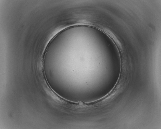 X0000111591292200907231207