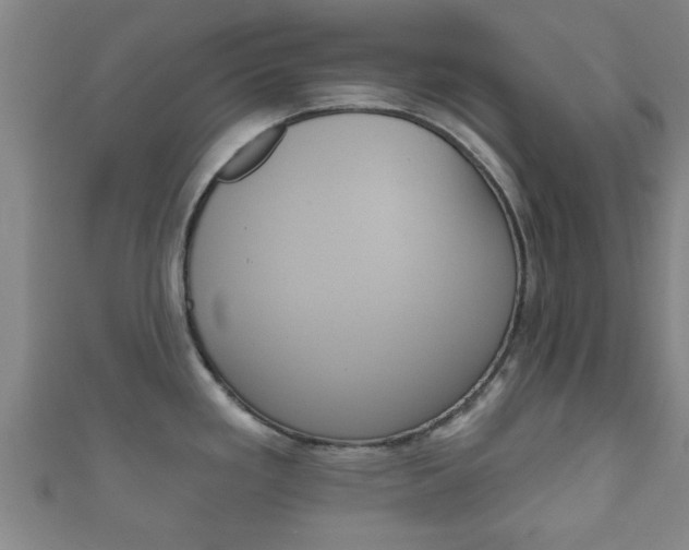 X0000111591293200907231207