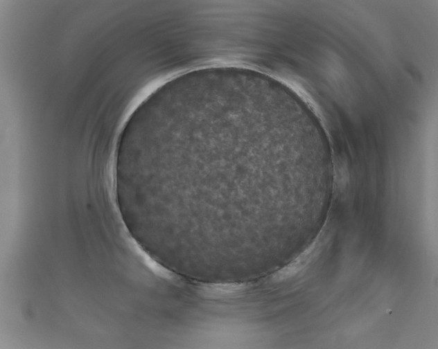 X0000111591294200907231207