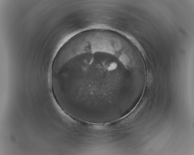 X0000111591295200907231207