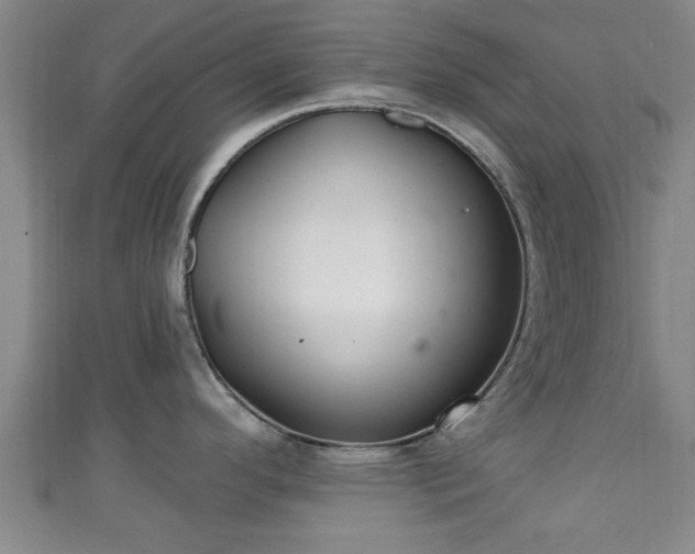 X0000111591296200907231207