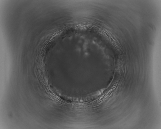 X0000111591297200907231206