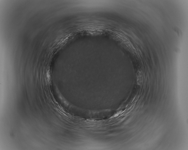 X0000111591298200907231206