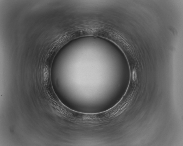 X0000111591299200907231206